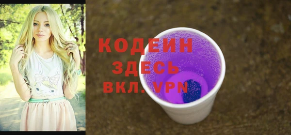 шишки Краснослободск