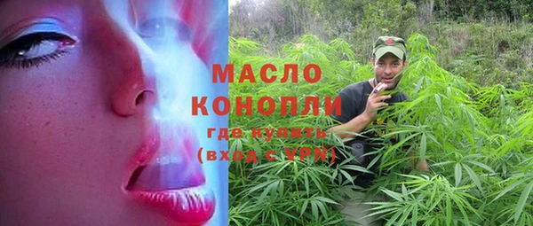 шишки Краснослободск