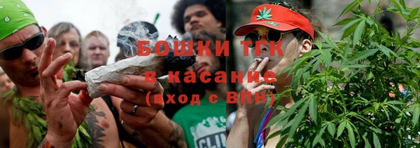 шишки Краснослободск