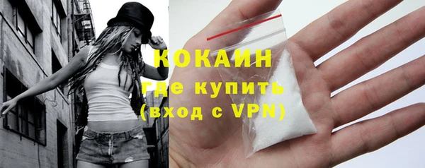 шишки Краснослободск