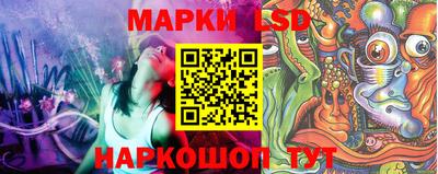 гидропоника Волжск