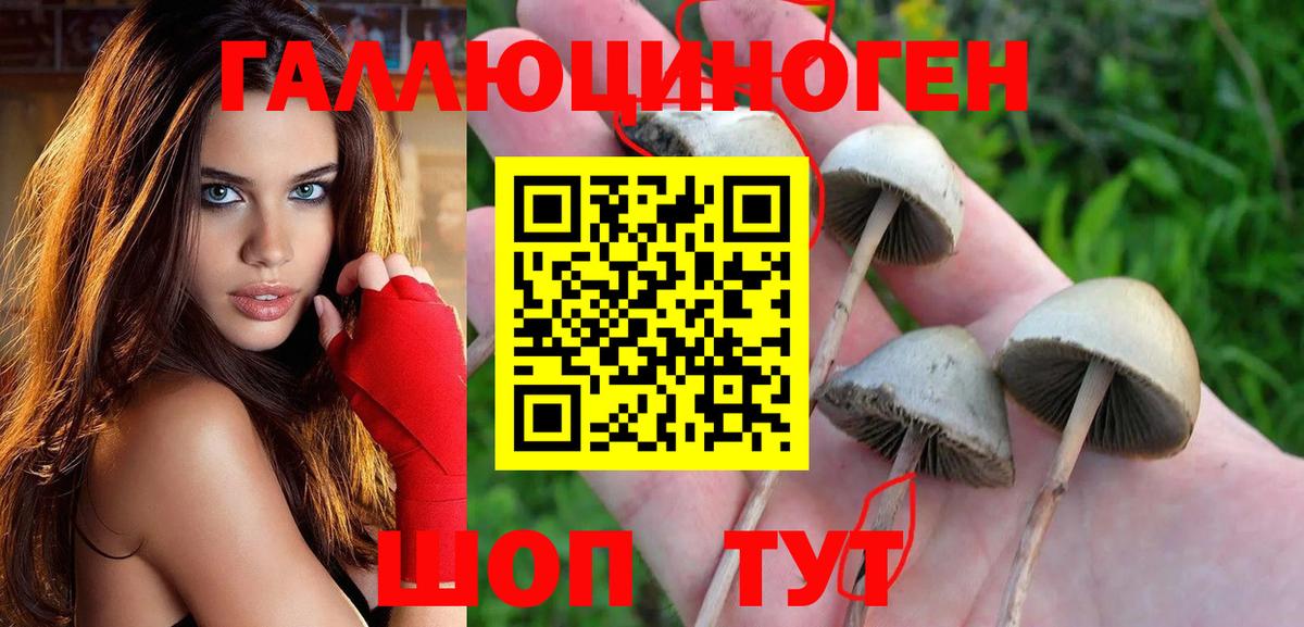 Ессентуки  Псилоцибиновые грибы мухоморы  Псилоцибиновые грибы мухоморы  Вход с VPN 