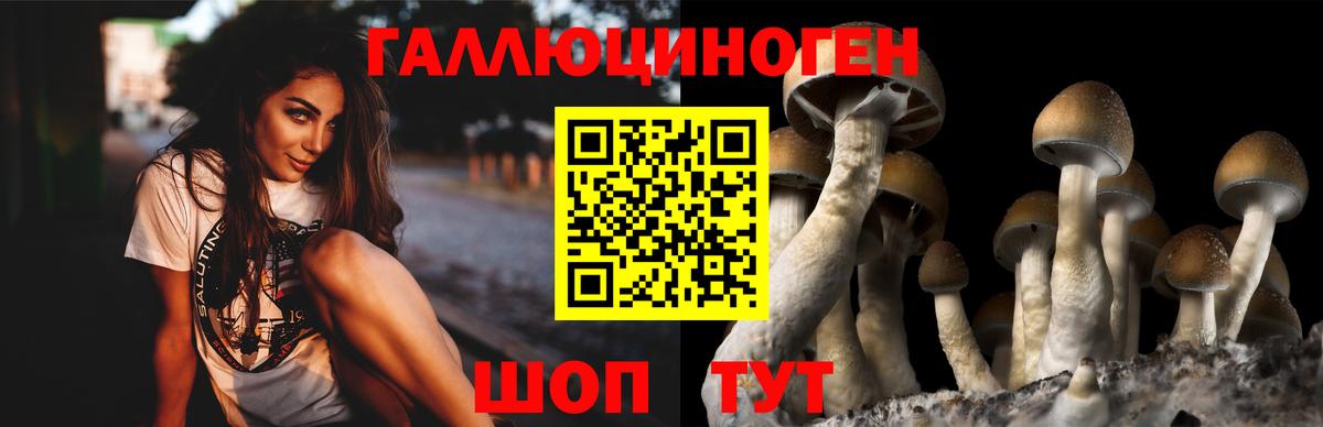МЕТАМФЕТАМИН  Марихуана  Вход с VPN  КОКАИН  ГАШ  ЭКСТАЗИ  Ессентуки  Мефедрон  